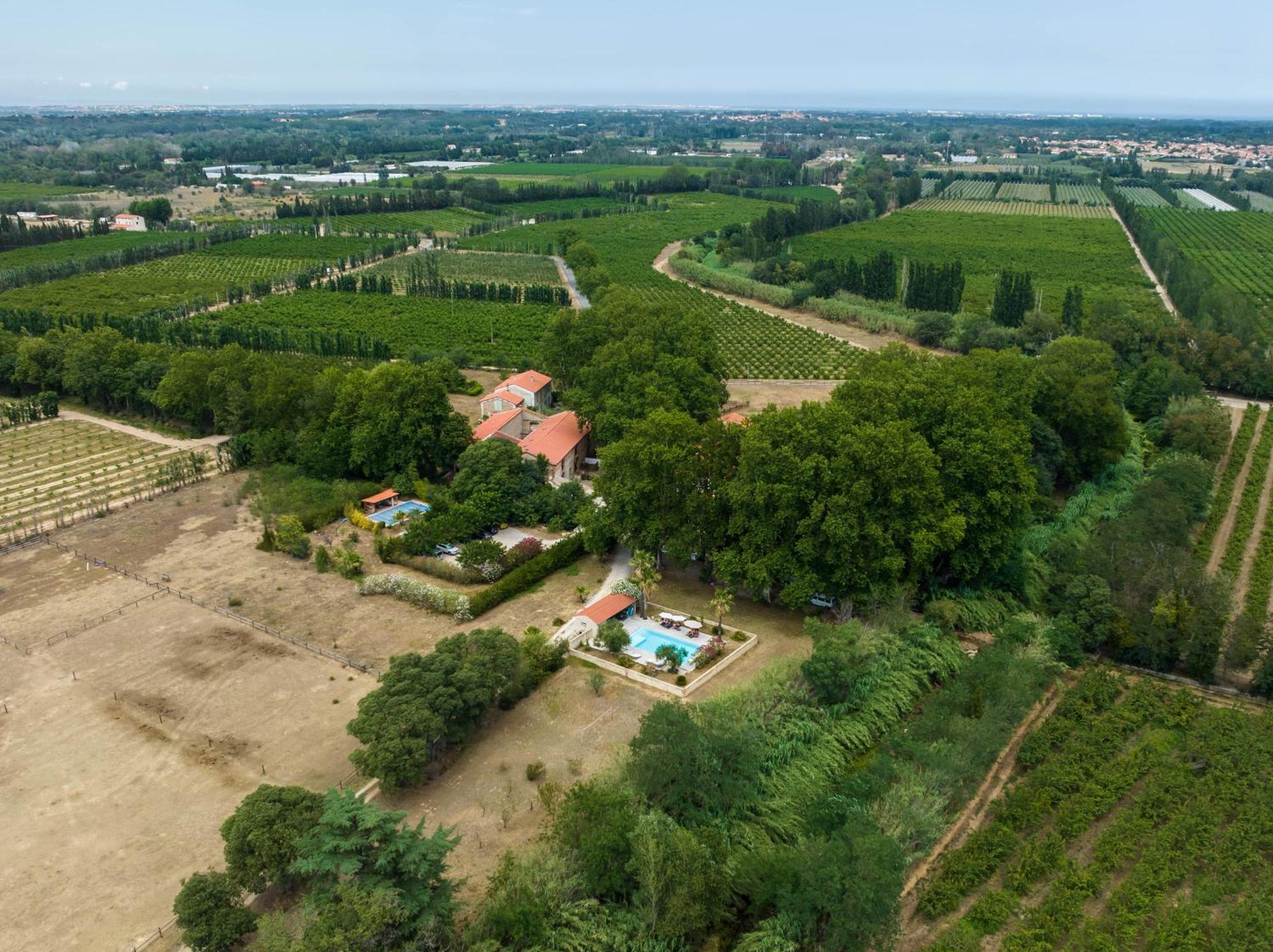 Domaine Castell De Bles Bed and Breakfast Saint-Génis Exteriör bild
